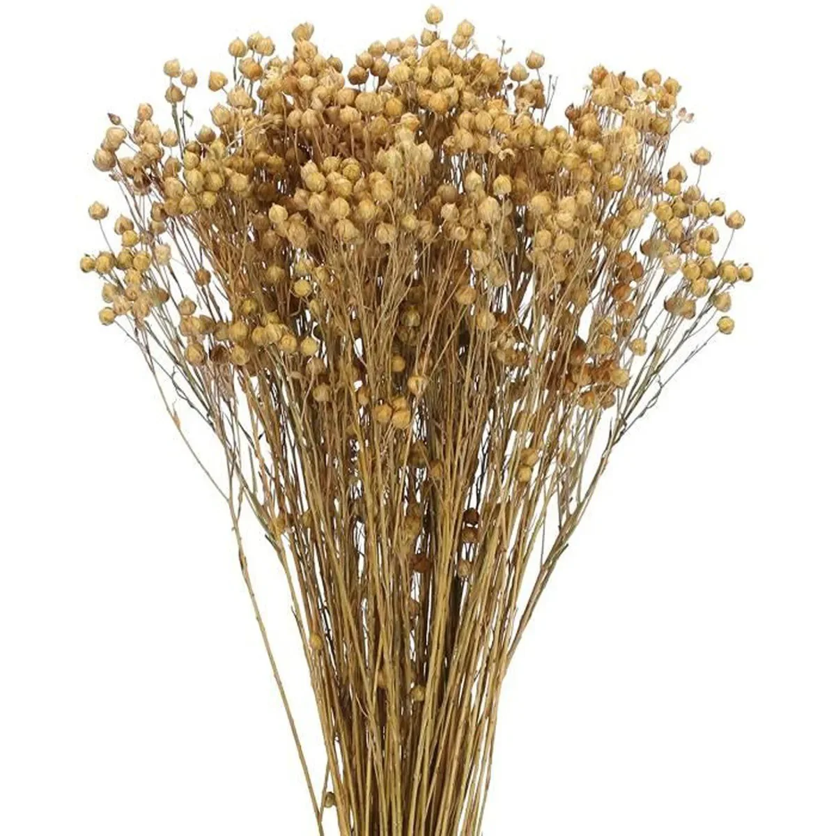 Image du produit 20